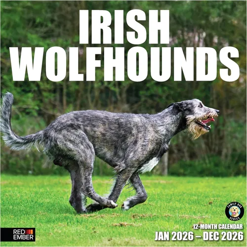 RED EMBER Irish Wolfhounds 2026 - Calendario de pared de 12 meses | 12 x 24 pulgadas abierto | Papel grueso y resistente | Regalar | Calendario 2026