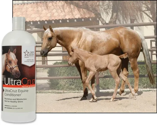 Vista 5 de UltraCruz Acondicionador equino para caballos, 32 oz