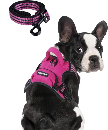 Vista 13 de Arnés sin tirones para perros pequeños, ajustable sin estrangulamiento, chaleco para mascotas con correa para perro, arnés reflectante inteligente