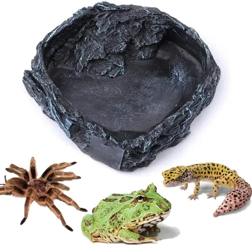 Litewoo Plato de agua para reptiles, cuenco de comida para reptiles, decoración de hábitat de forma natural, adecuado para dragones barbudos Negro