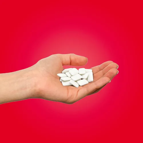 Vista 4 de PUR Gum Chicle sin Aspartamo 100% Xilitol Chicle con sabor natural a canela, 55 piezas (paquete de 1)