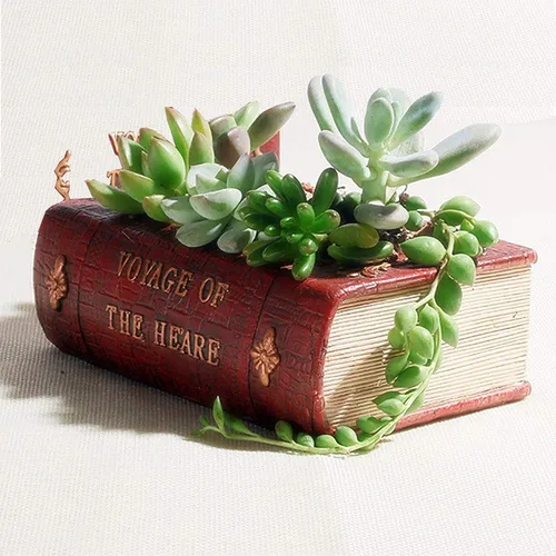 Macetas para suculentas con forma de libro, bonita maceta de resina para decoración creativa para Sempervivum con drenaje, regalo para mujeres,
