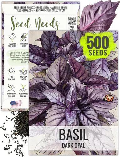 Vista 21 de Seed Needs Sweet Genovese - Semillas de albahaca para plantar, semillas de hierbas culinarias sin OMG y sin tratar para plantar un jardín de cocina