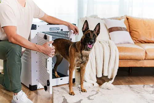 Vista 9 de Cajón Impact Indestructible para Perros de Alta Ansiedad para Perros Medianos - Perrera de Interior Resistente a Prueba de Escapes con Aluminio