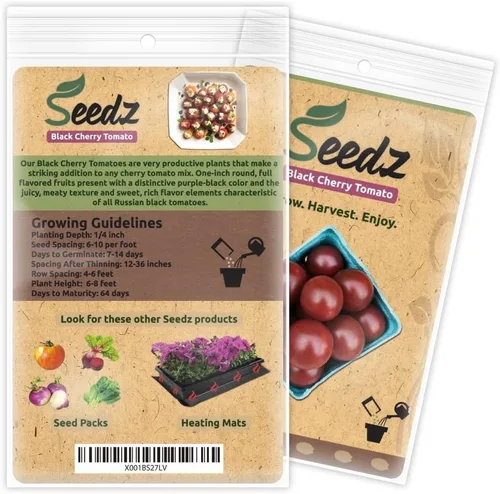 Vista 3 de Semillas de tomate orgánico, APPR. 125, tomate cherry negro, semillas vegetales tradicionales, orgánicas certificadas, sin OMG, no híbridas, EE. UU