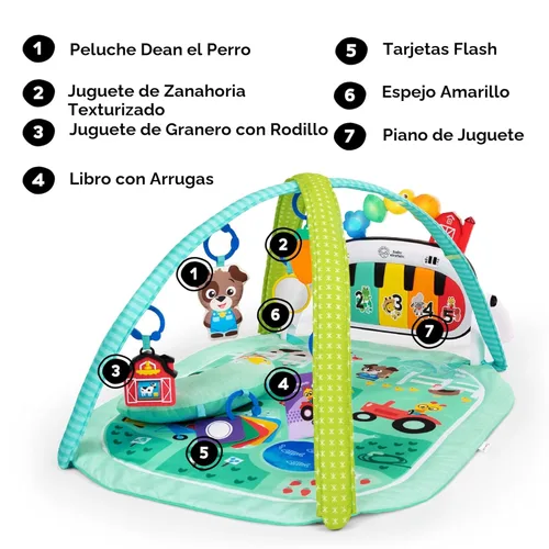 Vista 5 de Baby Einstein Farm Explorers 4 en 1 Kickin' Tunes Musical Meadow Music & Language Discovery Gym, a partir de 0 meses