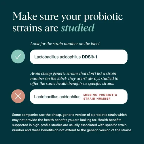 Vista 5 de Ora Organic Probióticos con prebióticos - Prebióticos veganos y probióticos para la salud digestiva Sin lácteos, sin gluten, para estómagos