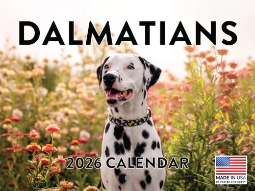 Vista 97 de Calendario de pared mensual 2025 Great Dane de 12 meses, fabricado en Estados Unidos