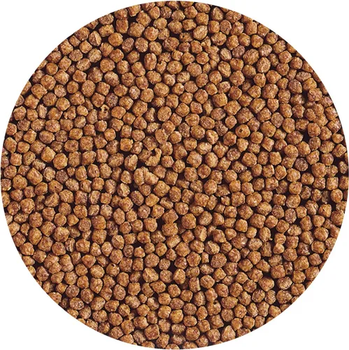 Vista 3 de Hikari Gold Baby - Pellets flotantes para koi y peces de estanque para mascotas, 3.5 onzas