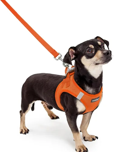 Vista 118 de rabbitgoo Juego de arnés para perro, tamaño pequeño y correa, chaleco ligero suave para cachorro, arnés de malla transpirable para mascotas, Negro