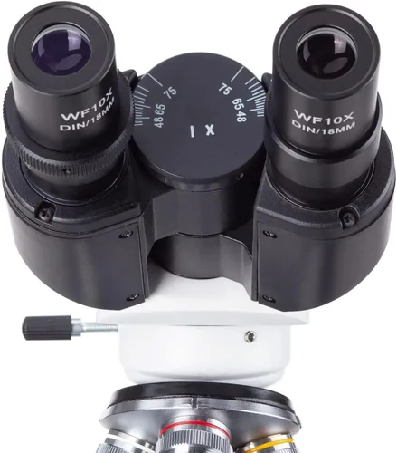 Vista 6 de AmScope B120B-WM Siedentopf Microscopio binocular compuesto, aumento de 40X-2000X, campo claro, iluminación LED, condensador Abbe, etapa mecánica
