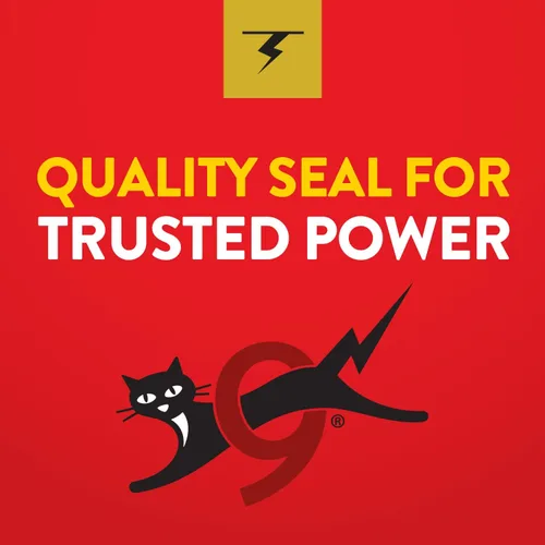 Vista 6 de Eveready Oro Baterías Alcalinas, 36unidades, A522BP, Total 1, Negro, 1, 1