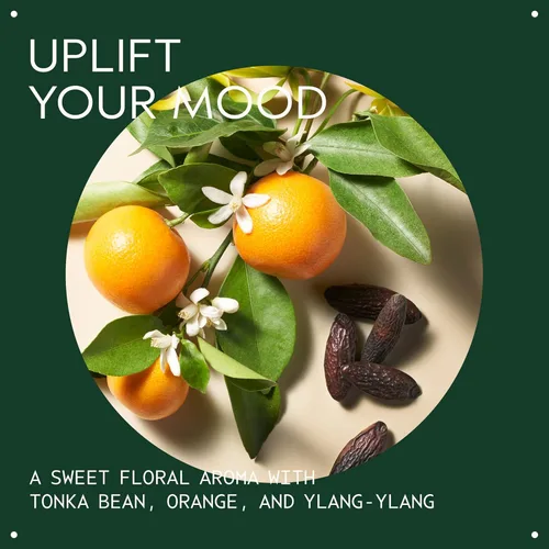 Vista 3 de Aveda Cherry Almond Softening Shampoo Adds Softness and Shine for Normal to Dry Hair 97% Naturally Derived* Silicone Free Iconic Cherry