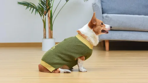 Vista 6 de STAR WARS Suéter para perro Boba Fett, L (L) Suéter para perro, ropa para mascotas Regalos para fanáticos de Star Wars