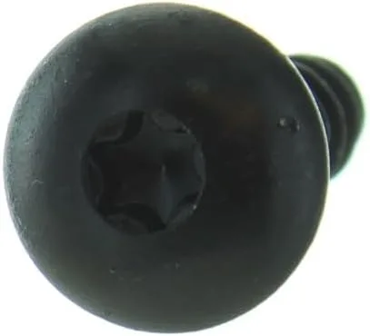 Vista 2 de Can-Am Tornillo Tork de cabeza de braguero OEM, 250000760