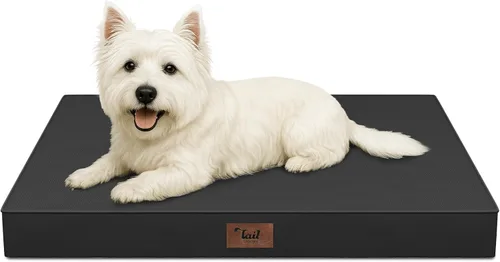 Vista 75 de Cama para perros y gatos pequeños, impermeable, para jaula de huevos, espuma ortopédica con funda Oxford lavable y extraíble, color verde Amy