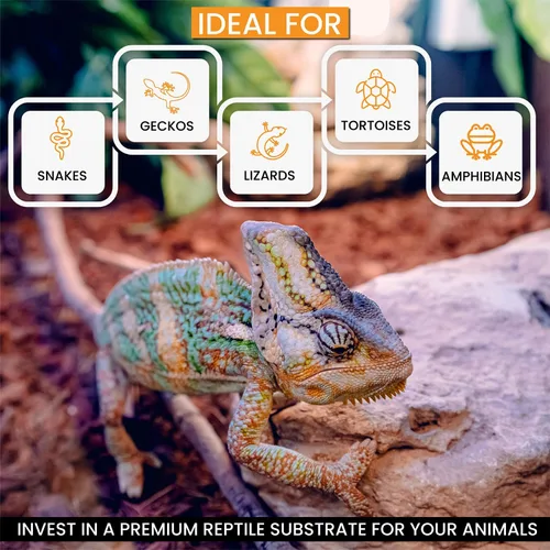 Vista 2 de ReptiChip - Sustrato de reptil con chips de coco de 72 cuartos de galón de capacidad, bloque de cáscara de coco orgánico comprimido para hábitat