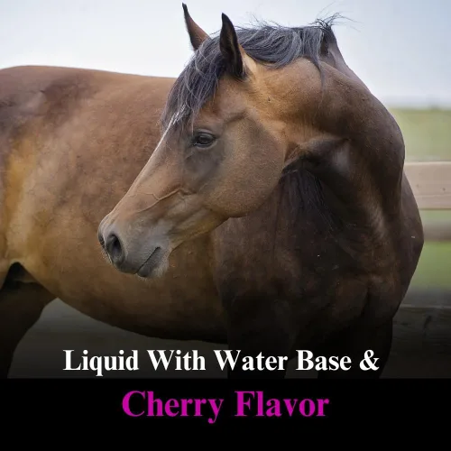 Vista 4 de DMG 3000 Suplemento para caballos Líquido de apoyo para entrenamiento y rendimiento Apoya la función normal cardiovascular inmune y muscular 1