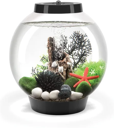 Vista 16 de biOrb Classic 15 Acrílico - Acuario de 4 galones con luces LED blancas - Tanque moderno y compacto para exhibición sobre mesa o escritorio, tanque