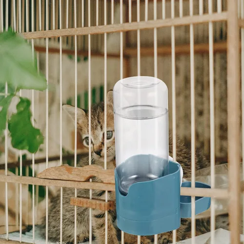 Vista 3 de Mipcase Dispensador de agua de recarga automática para perros, botella de agua grande para mascotas, resistente y portátil