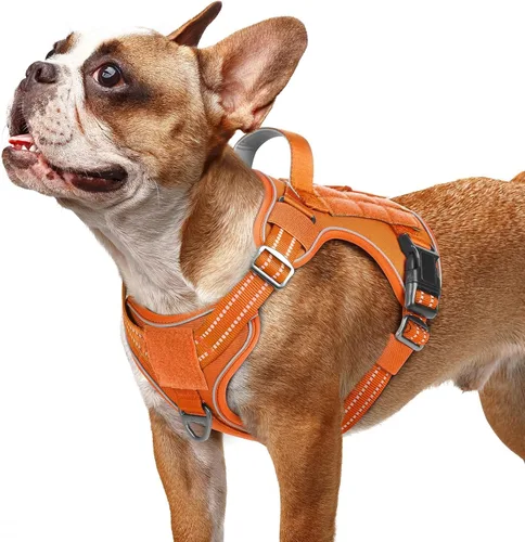Vista 30 de rabbitgoo - Arnés para perros pequeño sin tirones, chaleco táctico de servicio con Molle y asa de control, arnés militar ajustable y reflectante
