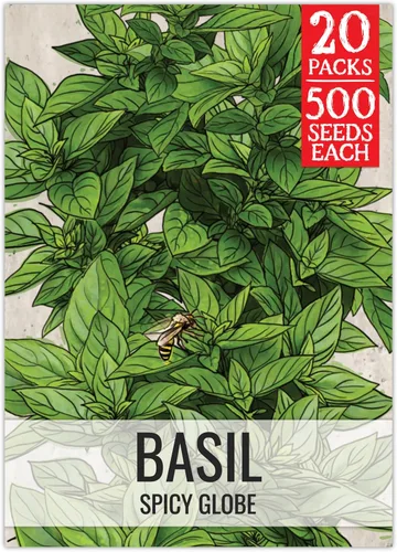 Vista 27 de Seed Needs Sweet Genovese - Semillas de albahaca para plantar, semillas de hierbas culinarias sin OMG y sin tratar para plantar un jardín de cocina