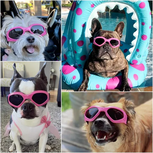 Vista 3 de Gafas de sol para perros de raza media, lentes reemplazables transparentes/negras, protección UV para perros medianos, protección ocular de perro