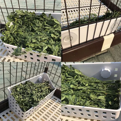 Vista 4 de kathson Comedero de heno para conejos, soporte de heno para conejillos de indias, estante de heno de plástico para conejos y animales pequeños