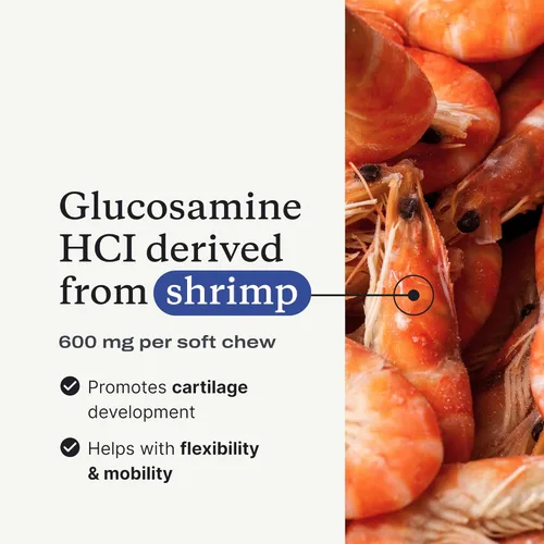 Vista 7 de PetLab Co. Masticables para el cuidado de las articulaciones, altos niveles de glucosamina para perros, mejillones de labios verdes, omega 3