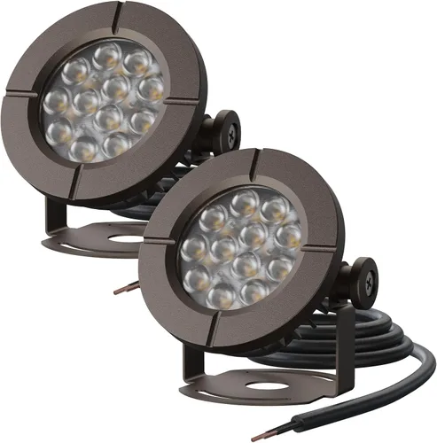 GOODSMANN Luces de estanque de bajo voltaje para exteriores, foco LED sumergible bajo el agua, luces sumergibles 2PK 6W 580 lúmenes 3000K IP68 con