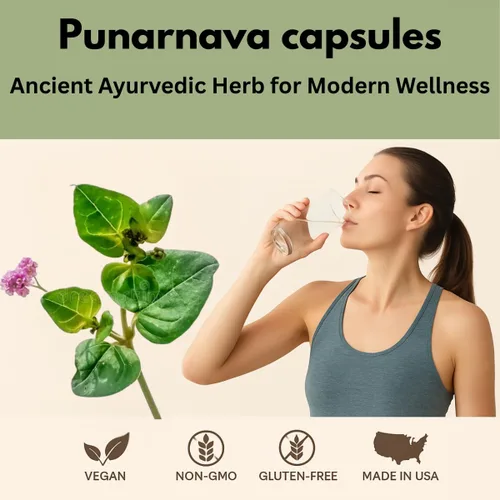 Vista 3 de Morsan's Punarnava (Boerhaavia diffusa) Cápsulas, Containg 60 x 500 mg. Cápsulas vegetales naturales y herbarias, paquete de 4