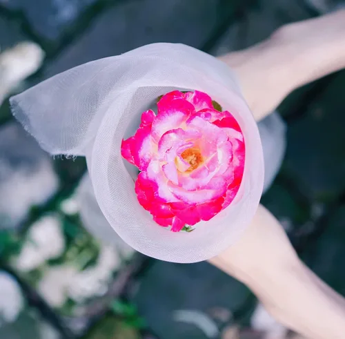 Vista 4 de Barrera de plagas de red de jardín: red ultrafina de 15 x 10 pies para protección de jardín, cubierta de hilera de cama elevada, mosquitera de malla