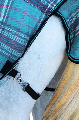 Vista 3 de CHALLENGER 80" flujo de aire ligero 73416 de la primavera de la hoja del verano de la malla del caballo