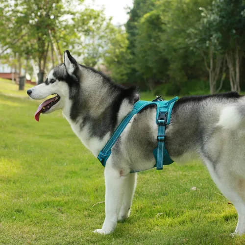 Vista 7 de Voyager Arnés para perro con doble correa con control sin tirones, ajustable, suave pero fuerte para mascotas, para perros medianos y grandes