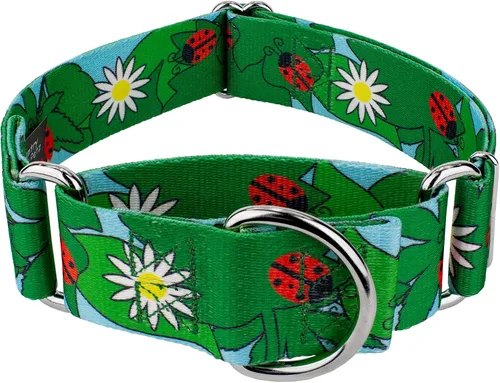 Vista 13 de Country Brook Petz - Collar para perro Martingala Anchors Away - Colección Summer Breeze con diseños soleados (1 1/2 pulgadas, mediano)