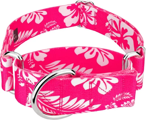 Vista 18 de Country Brook Petz - Collar para perro Martingala Anchors Away - Colección Summer Breeze con diseños soleados (1 1/2 pulgadas, mediano)