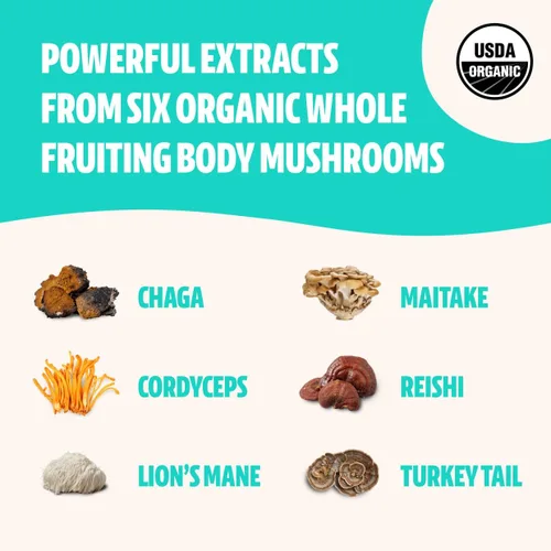 Vista 4 de FreshCap Mushrooms Paquete energético (polvo Cordyceps y polvo complejo de hongos definitivo)