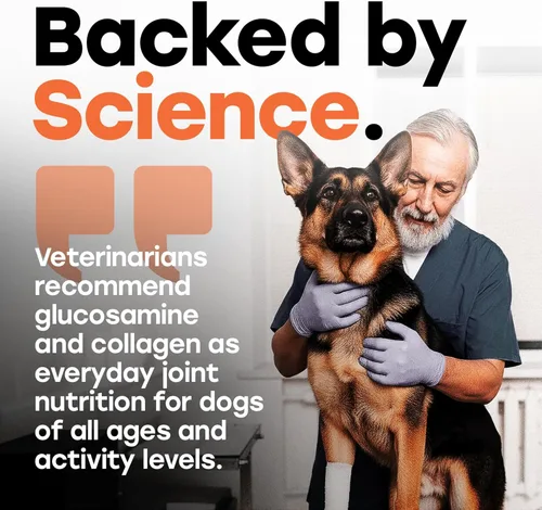Vista 6 de Glucosamina condroitina para perros – Suplemento de cadera y articulaciones con MSM, cáñamo y cúrcuma – Masticables de movilidad avanzada