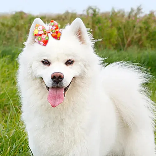 Vista 7 de 24 piezas/12 pares 10 cm Lazos para el pelo de perro grande con fruta de verano para perros de raza grande Bandas elásticas Lazo de pelo de perra