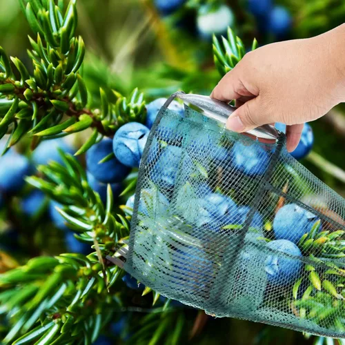 Vista 8 de DOITOOL Herramienta para recoger arándanos, recogedor de frutas, jaula de recolección de frutas, cesta de cosecha de frutas, equipo de frutas