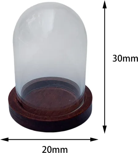 Vista 6 de Cúpula de cristal Cloche Cúpula transparente para casa de muñecas, decoración de micro paisaje, campana de cloche, vitral, cubierta de flores
