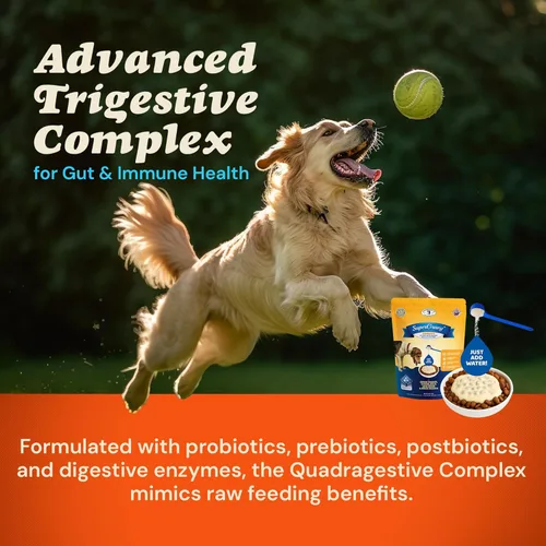 Vista 4 de CLEAR CONSCIENCE PET Arfredo SuperGravy - Comida natural para perros, mezcla de caldo de hidratación, condimento para croquetas sin gluten y granos