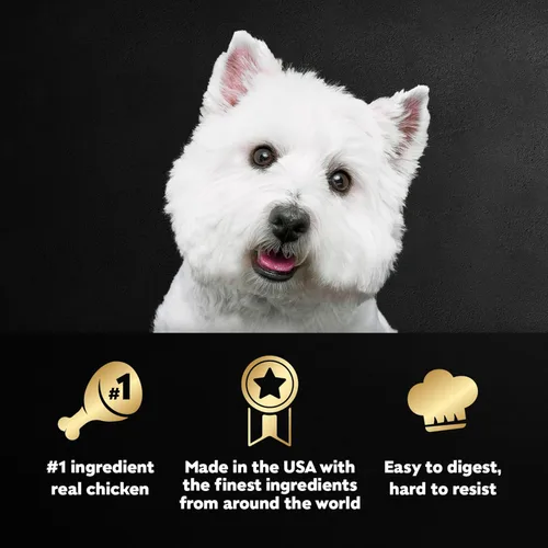 Vista 2 de CESAR Wet Dog Food Classic Loaf - Comida para perros en salsa de pollo y ternera, (24) 3.5 onzas bandejas fáciles de abrir