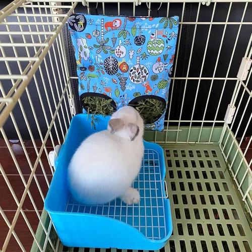 Vista 2 de Caja de arena de conejo con bolsa de heno, 4 en 1, juego de limpieza de alimentación de inodoro de conejo para conejillo de indias enano, chinchilla