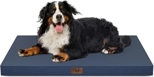 Vista 124 de Cama para perros y gatos pequeños, impermeable, para jaula de huevos, espuma ortopédica con funda Oxford lavable y extraíble, color verde Amy