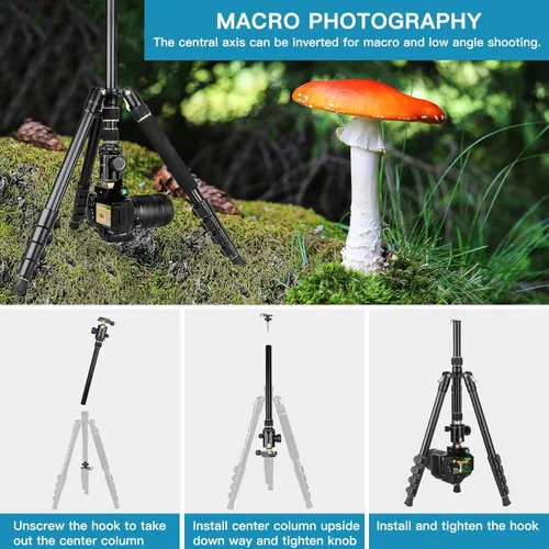 Vista 5 de Trípode DSLR Profesional para Fotografía - Alto, Ligero y Resistente - Miras de Detección, Telescopio y Prismáticos - Unidad de Trípode Completa