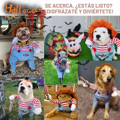 Vista 2 de Tealots Disfraz de muñeca mortal para mascota, divertido disfraz de Halloween para perro, ropa linda para perros pequeños, medianos y grandes, traje