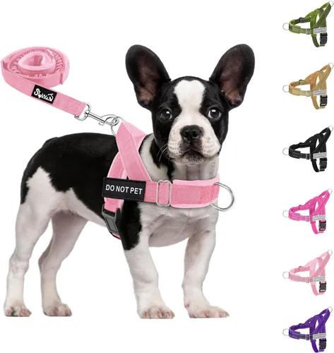Vista 16 de SlowTon Arnés sin tirones para perro, juego de arnés y correa resistente para perros medianos y grandes, arnés táctico reflectante con acolchado