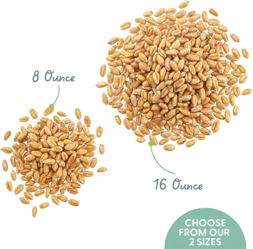 Vista 2 de Semillas de césped para gato 100% orgánicas (Sin OMG)