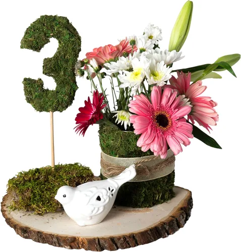 Vista 4 de SuperMoss (22406) Alfombrilla de Musgo InstantGreen, Peel n Stick 18 pulgadas x 16 pulgadas